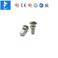 Professional Customization OEM Automatic Lathing Tire Hardware Nuts and Bolts