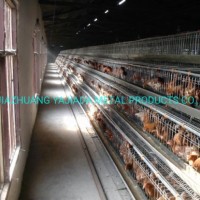 Wire Mesh Galvanized Chicken Cage