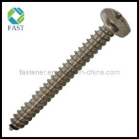 Stainless Steel Phillips Pan Head Self Tapping Screw