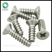 Stainless Steel Countersunk Phillips Type B Point Self Tapping Screw