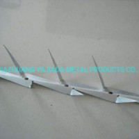 Hot DIP Galvanized Barbed Nails on The Wall (factory)