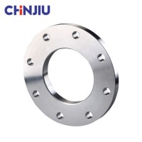 Flange En1092 Type01 Pl RF/FF Stainless Steel Forged