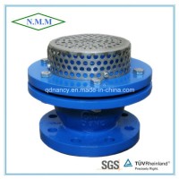 Gray Cast Iron Flange End Foot Valve