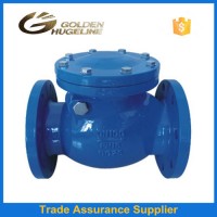 Dn100 Ductile Iron Cast Iron Flanged Swing Check Valve