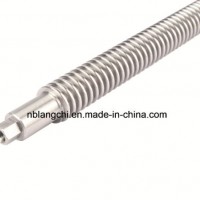 Hex Hexogan One Single Start Trapezoidal Thread Lead Screw