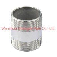 Stainless Steel 304/316L Nex Nipple Threaded Pipe Fitting (CD-PF2778)