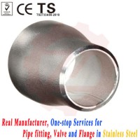 Manufacturer Supply Stainless Steel Concentric Butt Welded Reducer