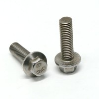 DIN 6921 M6 M8 9.8 Stainless Steel Hexagon Head Flange Bolt