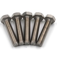 1/4-20 X 1" External Hex Drive Stainless Steel 18-8 (304) Hex Head Cap Screw Bolts