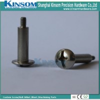 Stainless Steel 316 Bolt Phillips Pan Head Special Bolts with Polishing Plain Surface Fastener