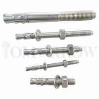 High Quality Stainless Steel 304/316 Wedge Anchor/ Through Bolt/ Expansion Bolt/ Anchor Bolt/ Tam An