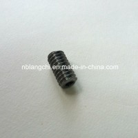 Transmission Customized Steel Worm Gear Endless Screw Worm