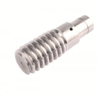 Stainless Steel Endless Screw Worm