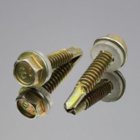 DIN Zinc Plated Hexagonal Head M3 M4 M5 Self Tapping Screw with Washer