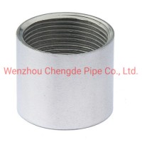 Stainless Steel Hose Nipples Threaded Fittings/ISO 4144 Pipe Fitting (CD-PF2779)