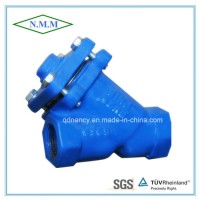 Cast Iron BSPT Threaded End Y-Strainer