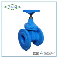 Cast Iron Rubber Wedge Non-Rising Stem Gate Valve