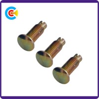 DIN/ANSI/BS/JIS Carbon-Steel/Stainless-Steel 4.8/8.8/10.9 Galvanized Non-Standard Slotted Pin Screw