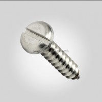 Pan Head Tapping Screws with Slot DIN7971