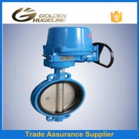 Moto Actuactor Butterfly Valve with Worm Gaear