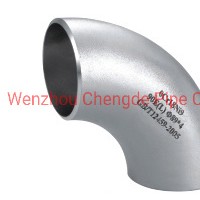 Industrial Stainless Steel Pipe Fitting Elbow Wp304/316L
