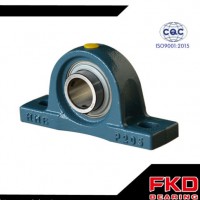 NSK/Fyh/Tr Pillow Block Bearings  Deep Groove Ball Bearings  Auto Bearings  Bearings (UCP218)