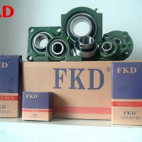 Fkd Brand Pillow Block Bearing/Insert Bearing/Bearing Units/Housing/Machinery Bearing/Bearing (SGS c