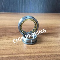 Famous Japan Brand Bearing Cylindrical Roller Bearing (NUP1032 NUP1032E)