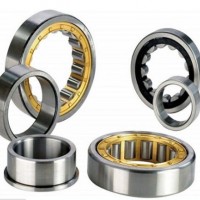 Chik Cylindrical Roller Bearing for Machine Parts High Precision Quality (NJ1005 EM)