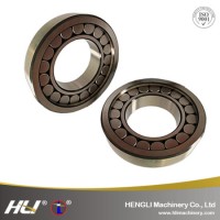 N/Nu Em/Nj Em/NF/Nup/Ncl/Rn/Rnu/Single/Double Row Cylindrical Roller Bearing for Motorcycle Parts Au