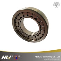 N/Nu/NF/Nj/Nup/Ncl/Rn/Rnu/Single/Double Row Cylindrical Roller Bearing for Auto Spare Parts