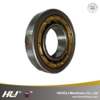 Hot Selling Factory Price N/Nu/NF/Nj/Rolling Bearing/Motorcycle Bearing/Cylindrical Roller Bearing