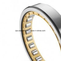 Cylindrical Roller Bearing Nn3028