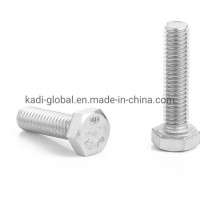 Machine Bolt /Hex Bolts/ Hex Head Bolts/Hexagon Bolt / Structural Heavy Hex Bolt/DIN933