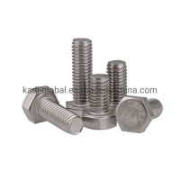 Bolt and Nut /Hex Bolts/ Hex Head Bolts/Hexagon Bolt / Structural Heavy Hex Bolt