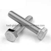 M27X110 Stainless Steel High Strength Hex Bolt with Nut