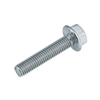 Hex Bolt /Flange Bolt/ Carriage Bolt/Anchor Bolt