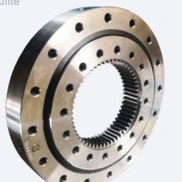 Typ 110/1100.2 Customized High Precision External Gear Slewing Ring Bearing