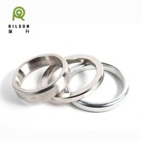 High Performance Ring Joint Gasket of Rilson