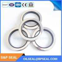 Ss 110*140*14 Stainless Steel PTFE Oil Seal for Compressor