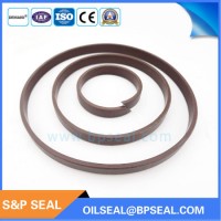 PTFE+Brozne/Carbon/Graphite/Glass Wear Guide Ring for Hydraulic