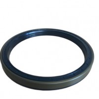 Nob Oil Seal /High Quality