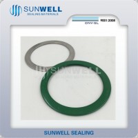 Custom-Made Flat Rings Ss304/316L Non Standard/ASME/JIS/DIN/En Hot Sales (SUNWELL SEALS)