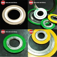 China Supply High Quality Spiral Wound Gasket Ss304 Basic Type with Inner CS and Outer Rings CS