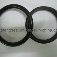 Geotze 76.90-H-06 1M8746 Oil Seal