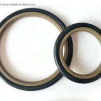 Hydraulic Cylinder Bronze Rod Step Oil PTFE Seal PTFE Oil Seal