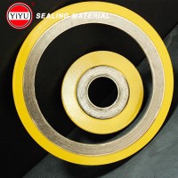 Flexible Graphite Spiral Wound Gasktet with Outer Ring