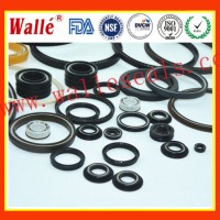 PTFE Value Seals/ Spring Seals/ Rings