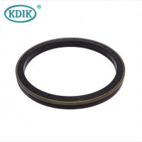 127*160*15.5/17.5 12017098b Wheel Hub Oil Seal