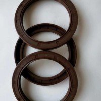 NBR/FKM/Silicone Rubber Tc Oil Seal for Auto Parts